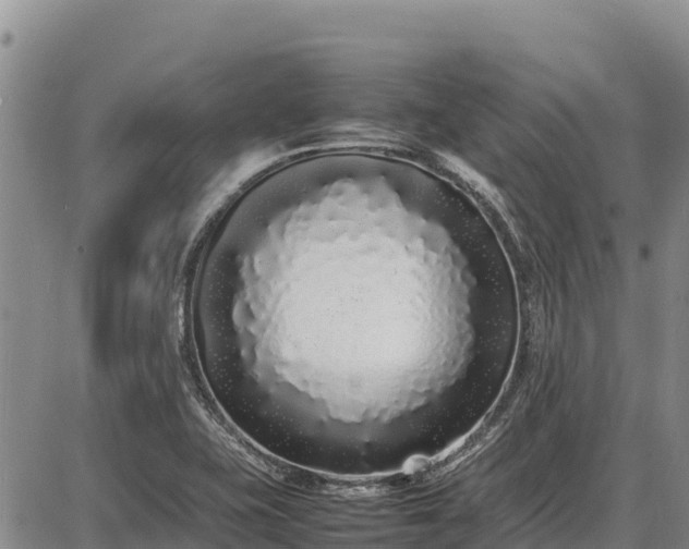 X0000086911415200704231207