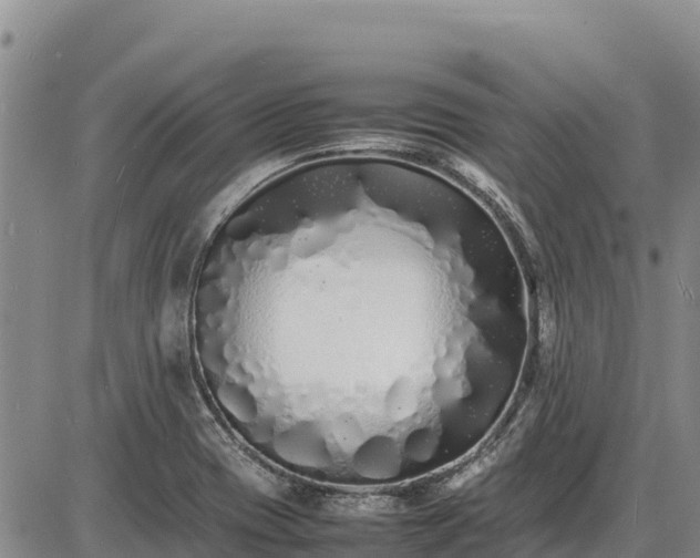 X0000086911417200704231207