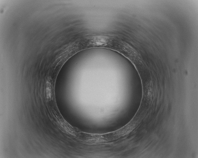 X0000086911442200704231206