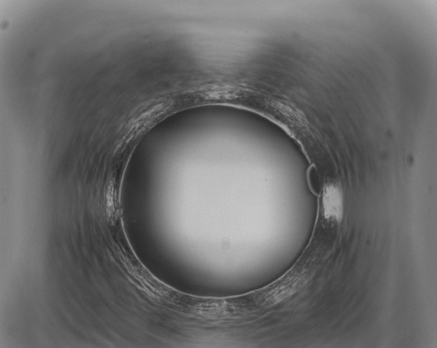 X0000086911444200704231206
