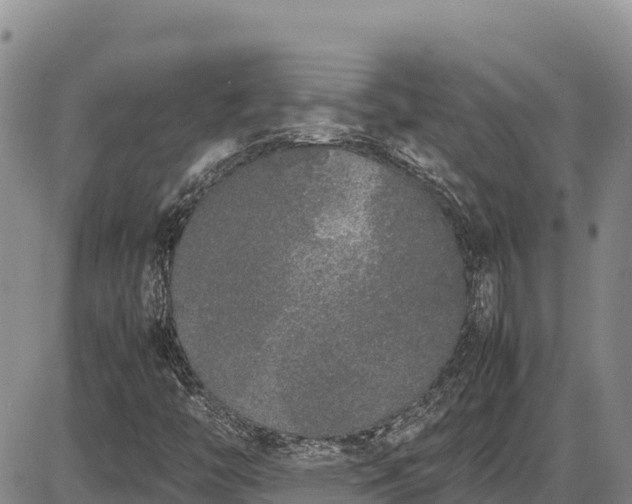 X0000086911446200704231206