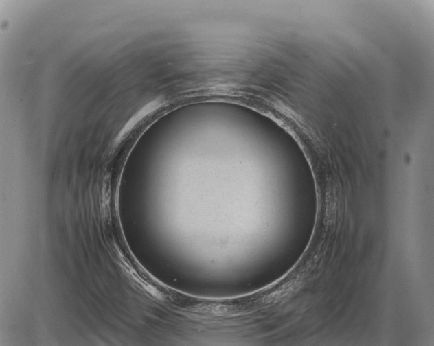 X0000086911450200704231206