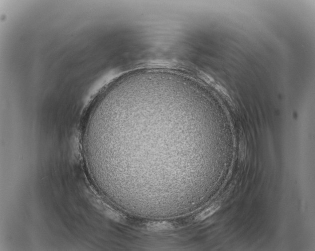 X0000086911454200704231206