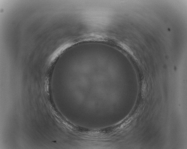 X0000086911455200704231206