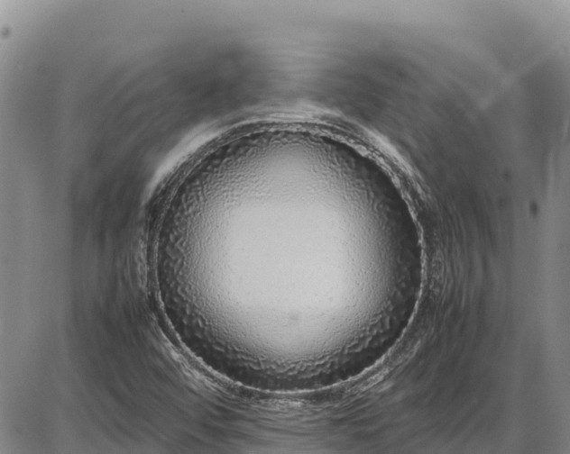 X0000086911456200704231206