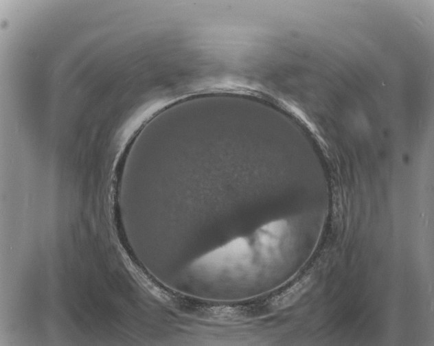 X0000086911463200704231206