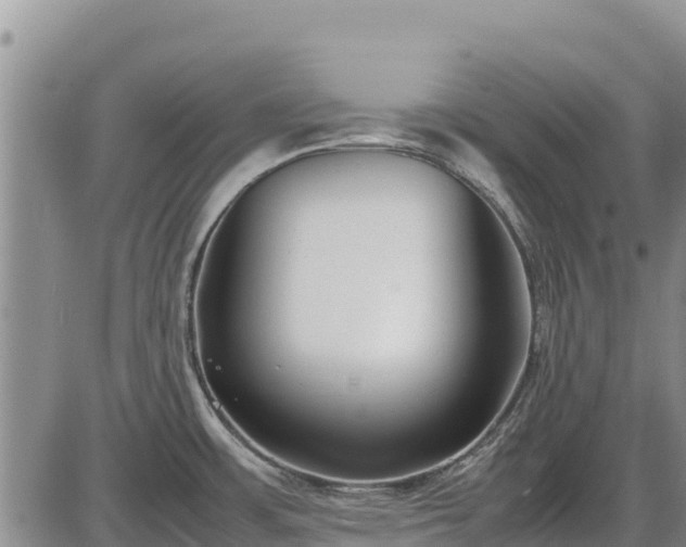 X0000086911483200704231206
