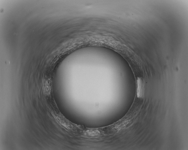 X0000086911491200704231205