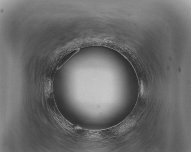 X0000086911492200704231205
