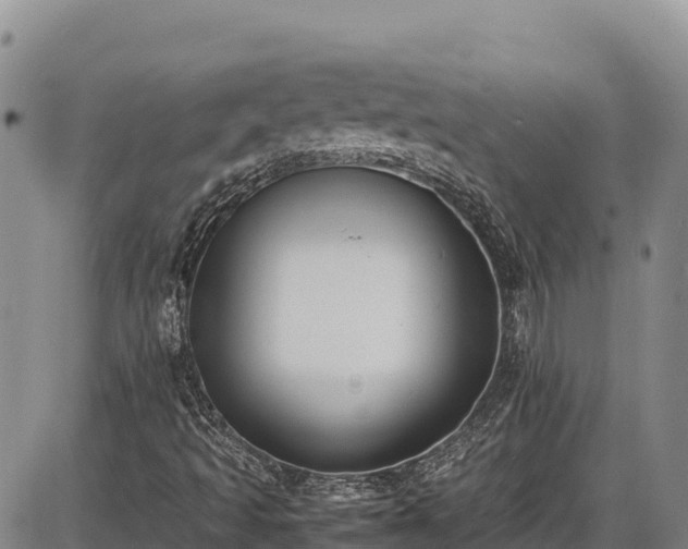 X0000086911493200704231205