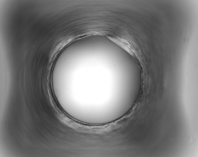 X0000086910001200704301046