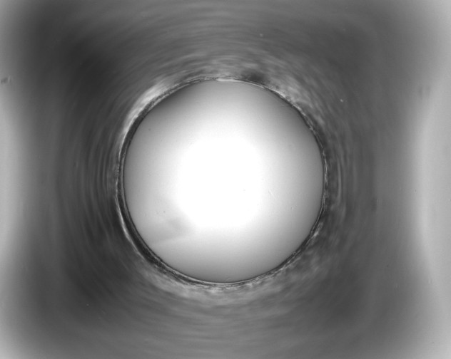 X0000086910003200704301046