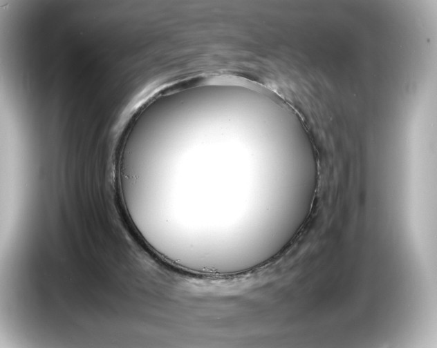 X0000086910005200704301046