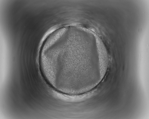 X0000086910006200704301046