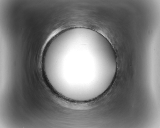 X0000086910008200704301046