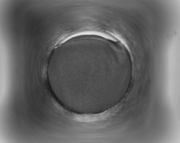 X0000086910009200704301046