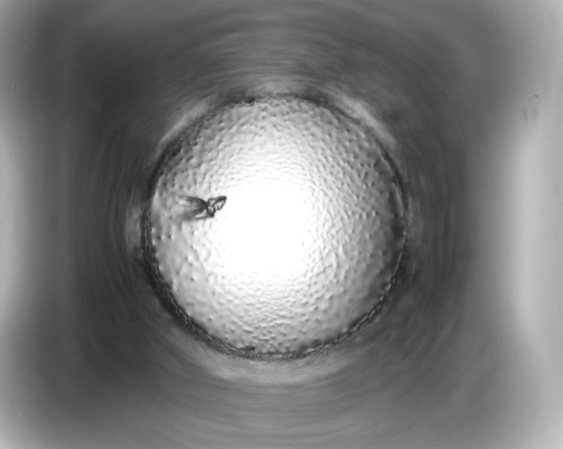 X0000086910010200704301046