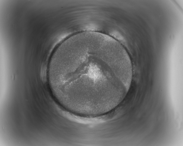 X0000086910012200704301046