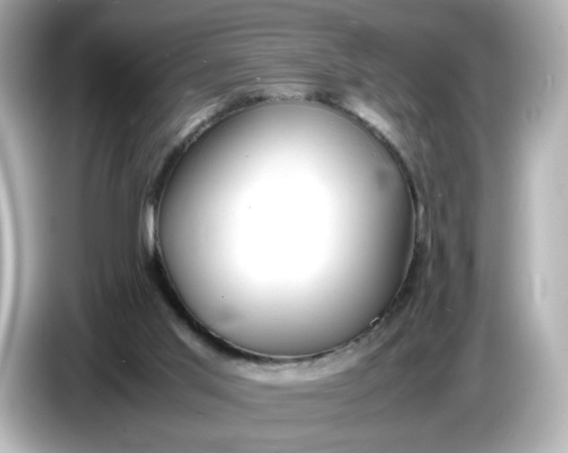 X0000086910013200704301046