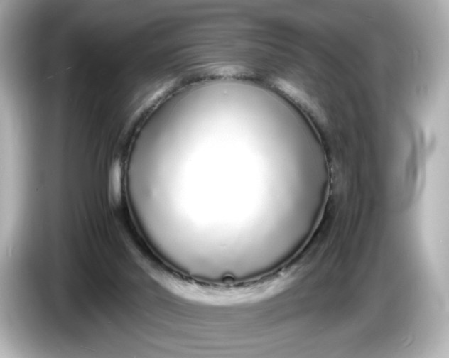 X0000086910014200704301046