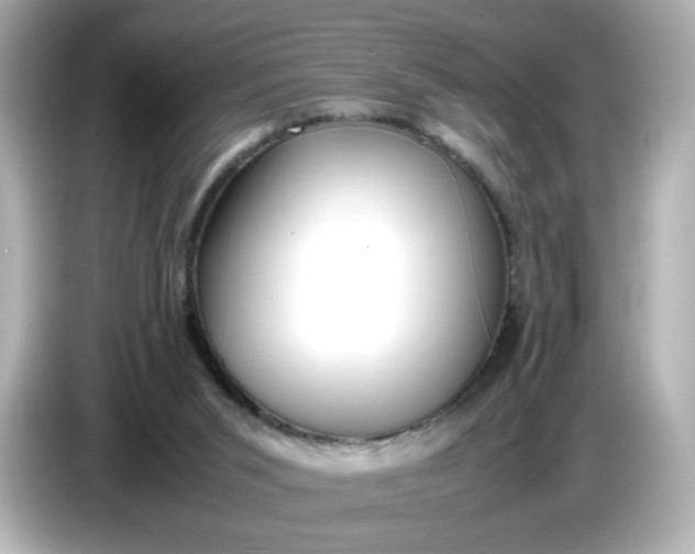 X0000086910015200704301046