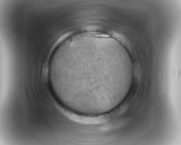 X0000086910016200704301046