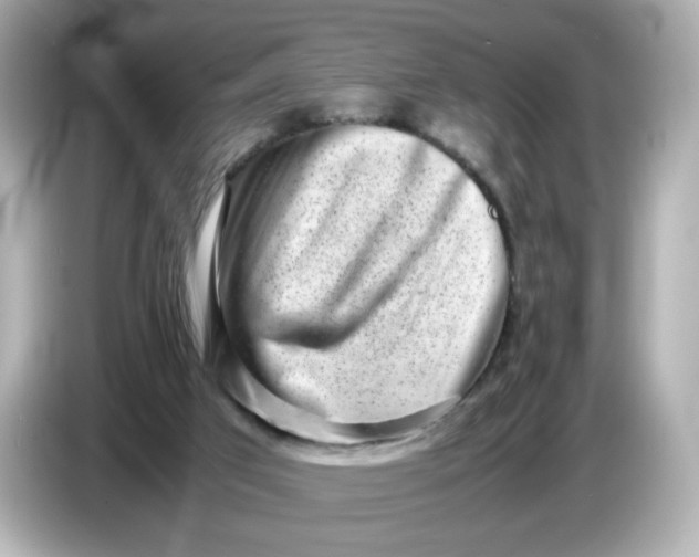 X0000086910017200704301046