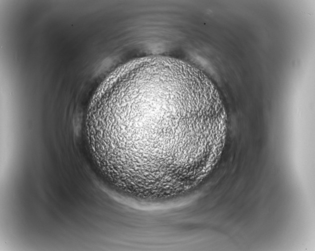 X0000086910018200704301046