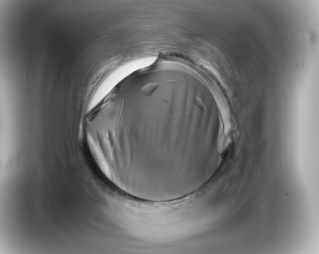 X0000086910019200704301046