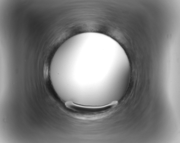 X0000086910021200704301046