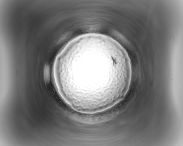 X0000086910022200704301046