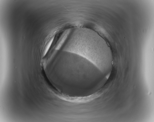 X0000086910023200704301046