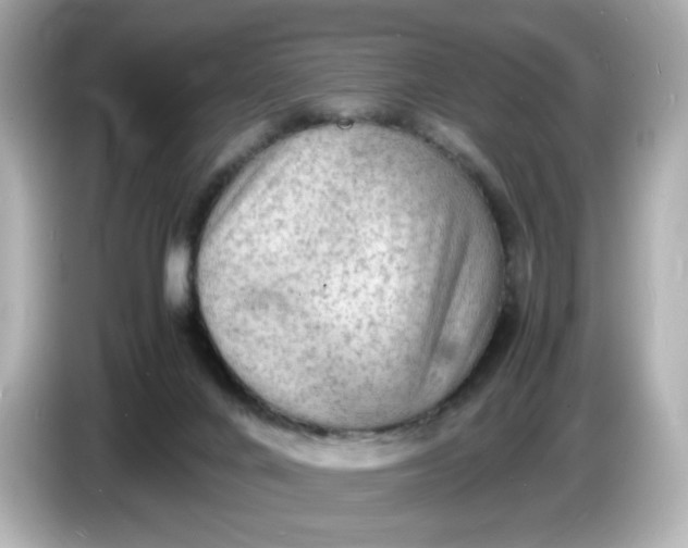 X0000086910024200704301046