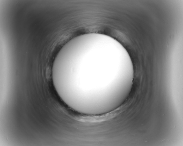 X0000086910025200704301046