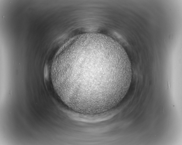 X0000086910026200704301046