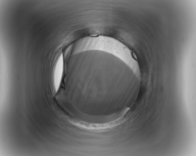 X0000086910027200704301046