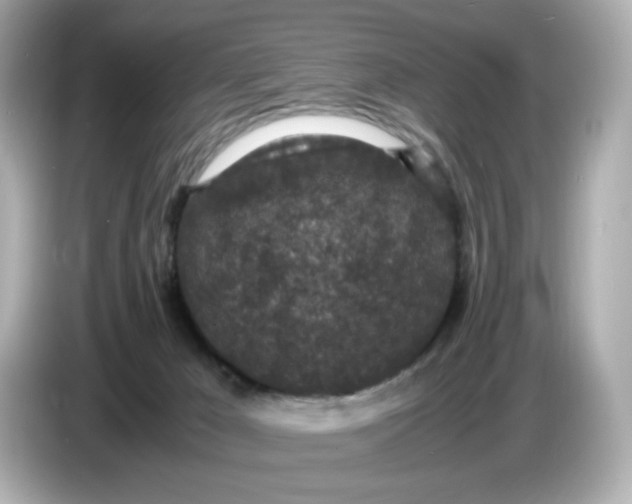 X0000086910029200704301046