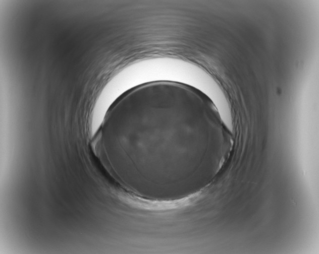 X0000086910031200704301046