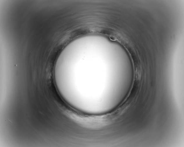 X0000086910032200704301046