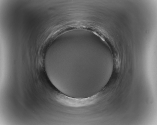 X0000086910035200704301046