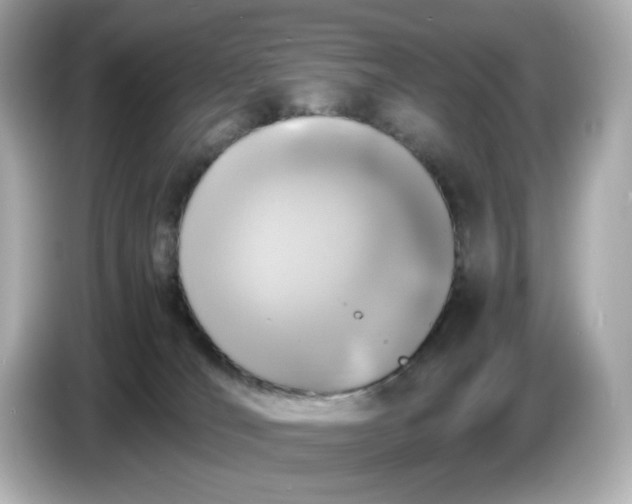 X0000086910036200704301046