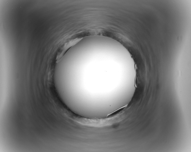 X0000086910037200704301046