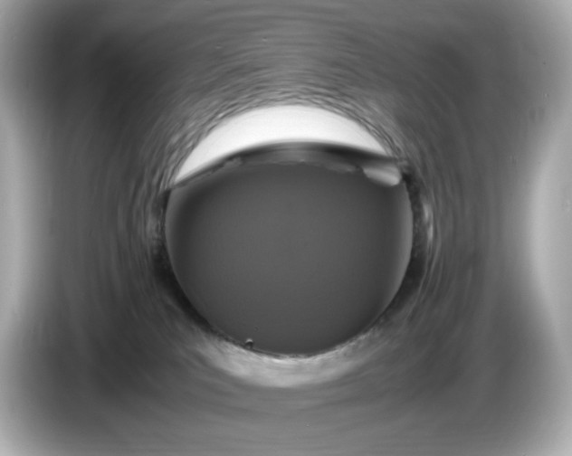 X0000086910039200704301046