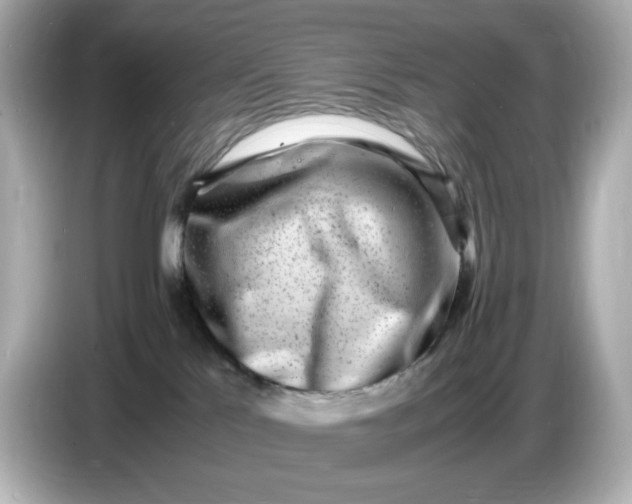 X0000086910041200704301046