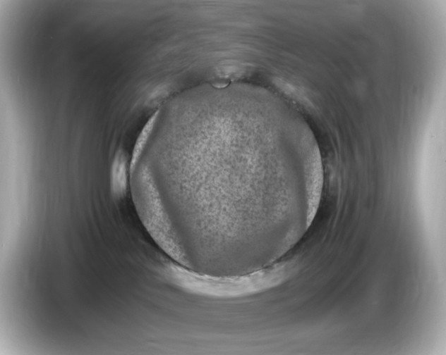 X0000086910042200704301046