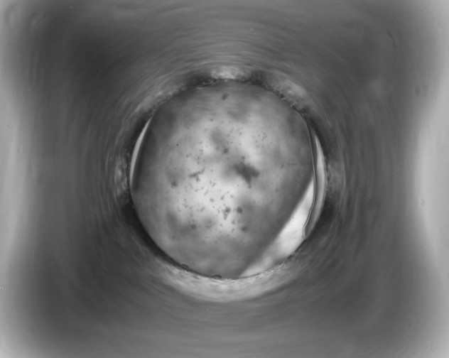 X0000086910043200704301046