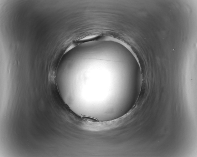 X0000086910045200704301046