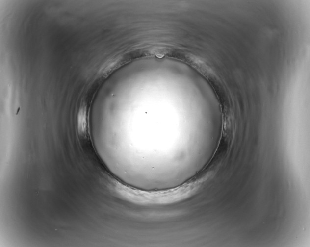 X0000086910046200704301046