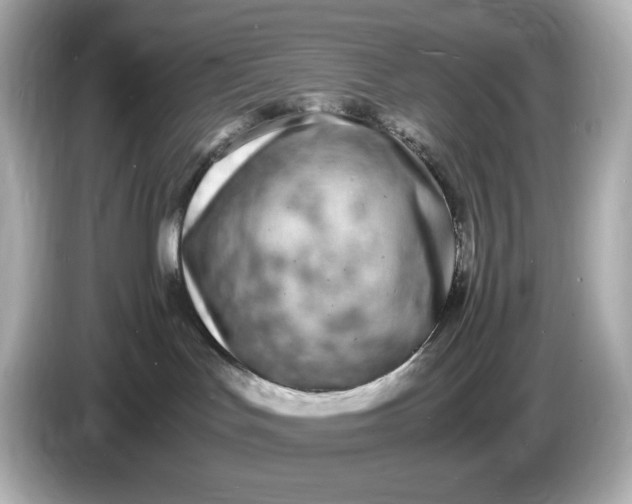 X0000086910047200704301046