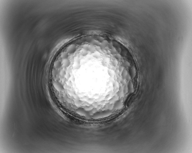 X0000086910049200704301045